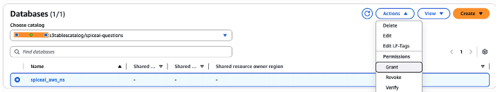 Grant database access – main page